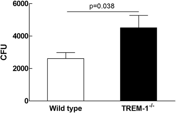 FIG 6