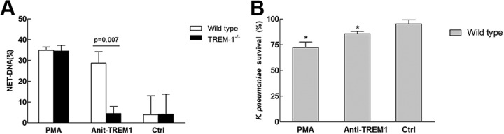 FIG 8