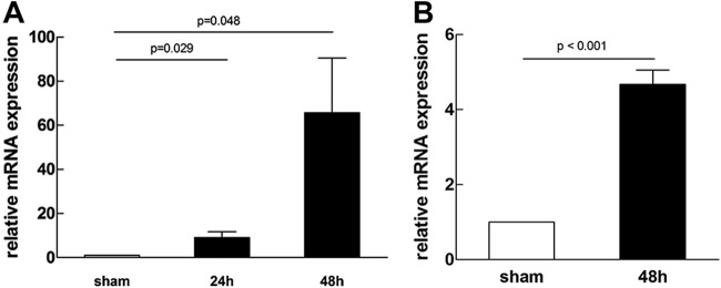 FIG 1