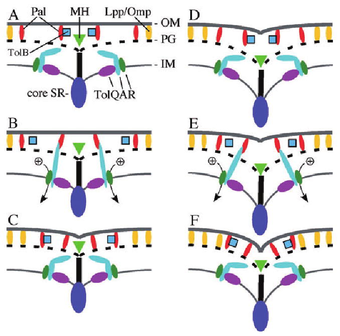 Fig. 10