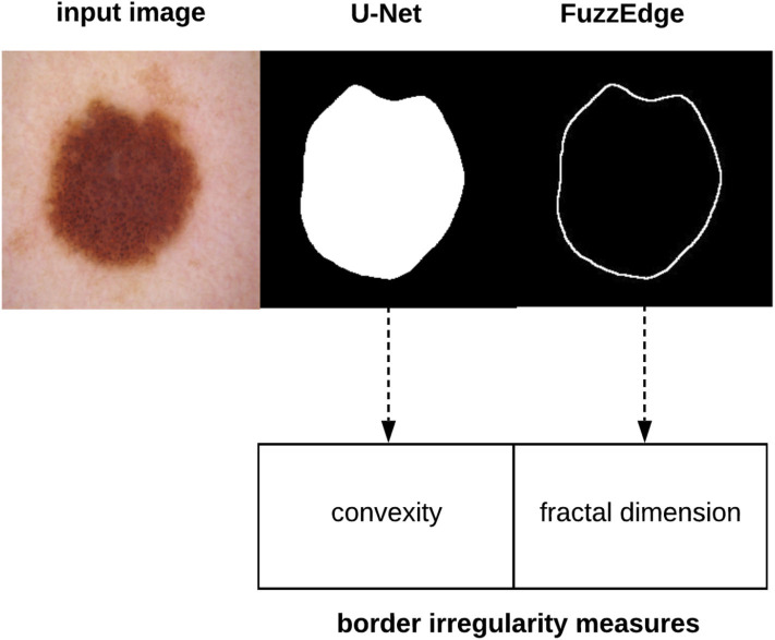 Figure 6