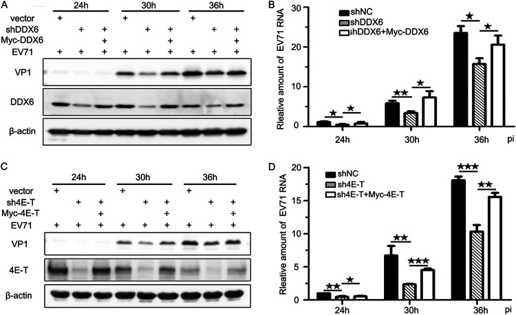 FIG 6