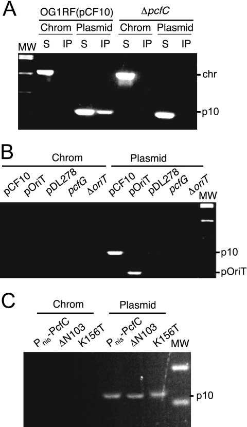 FIG. 4.