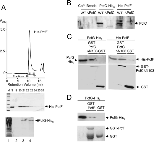 FIG. 7.