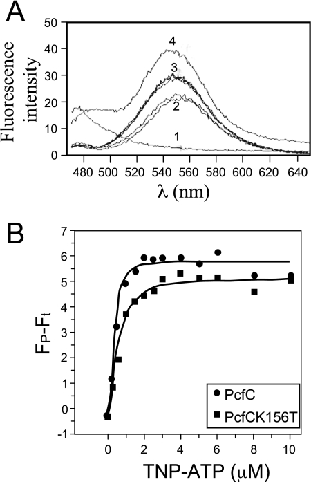 FIG. 6.