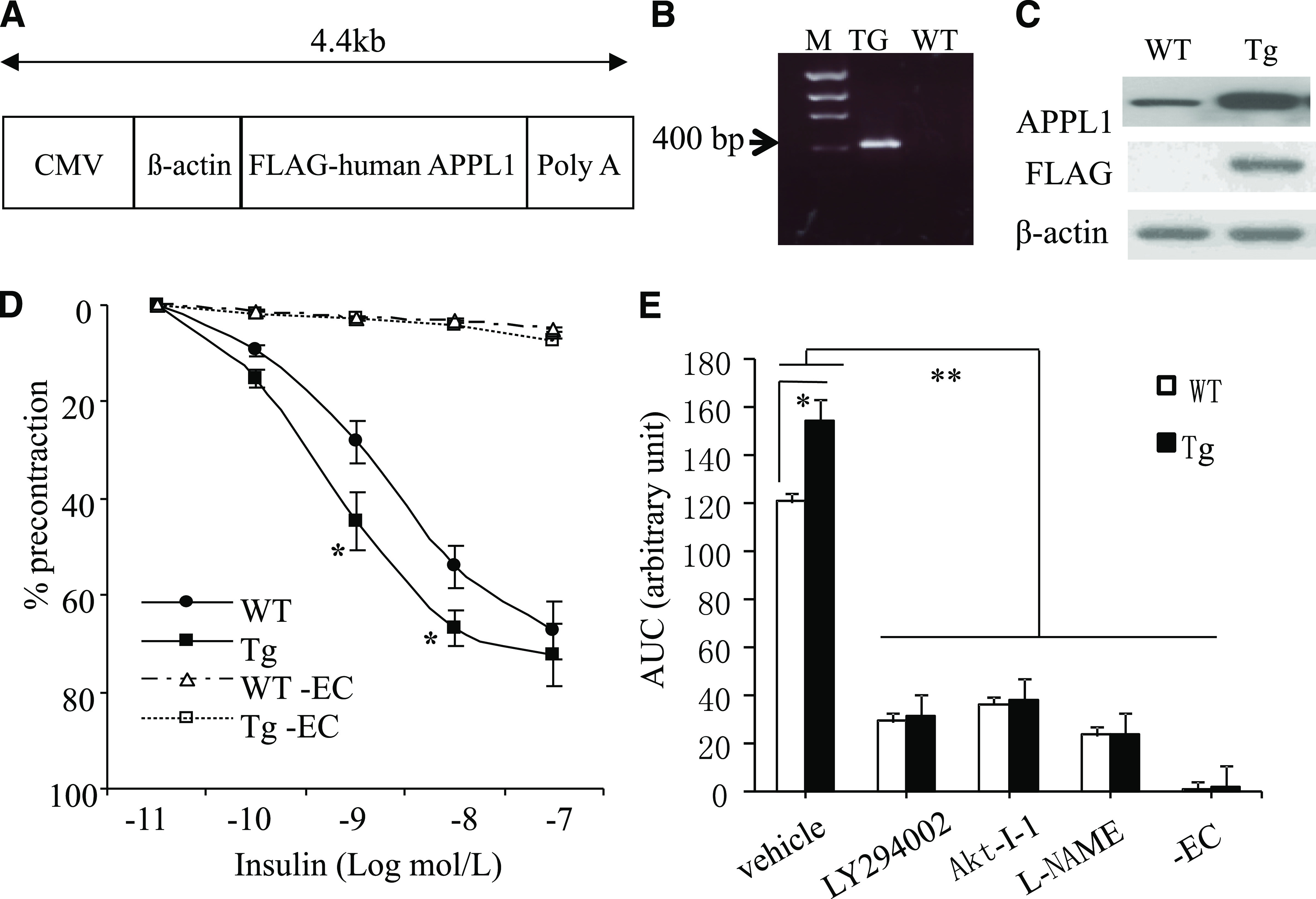 FIG. 1.