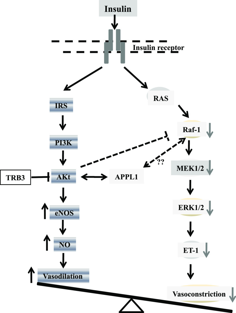 FIG. 8.