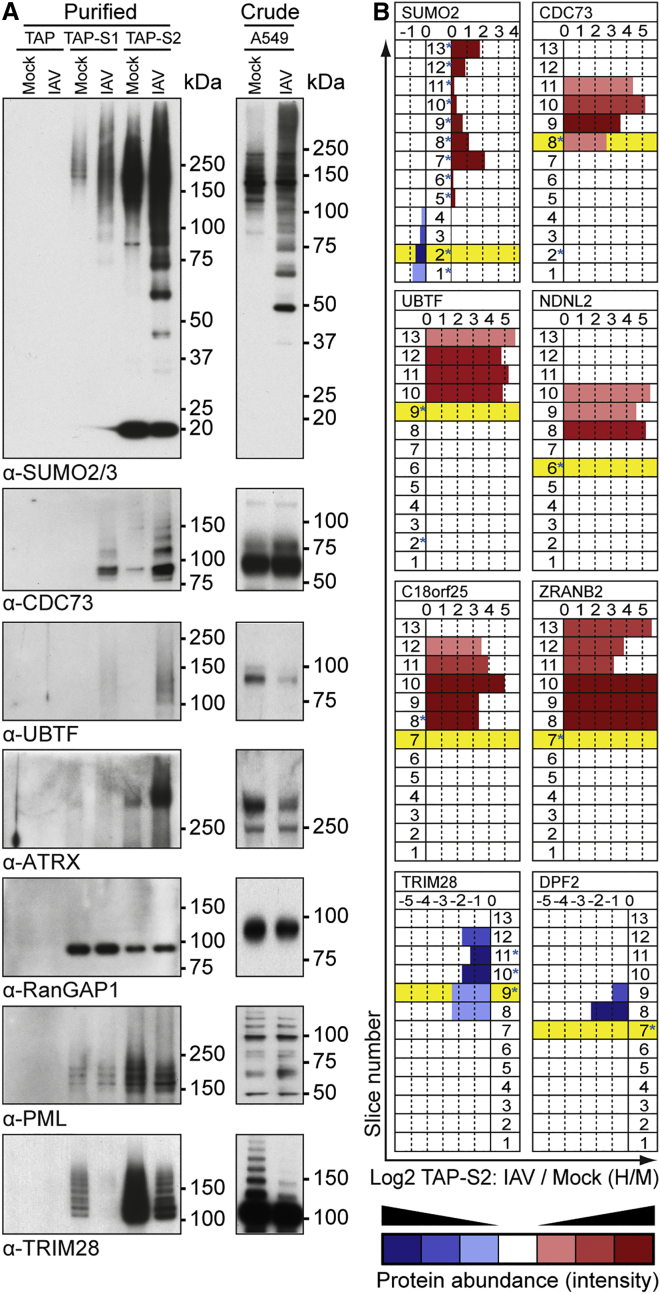 Figure 4