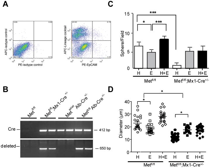 Fig.2