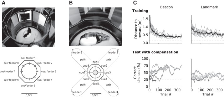 Fig. 6.