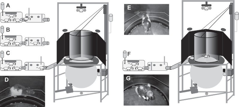 Fig. 3.