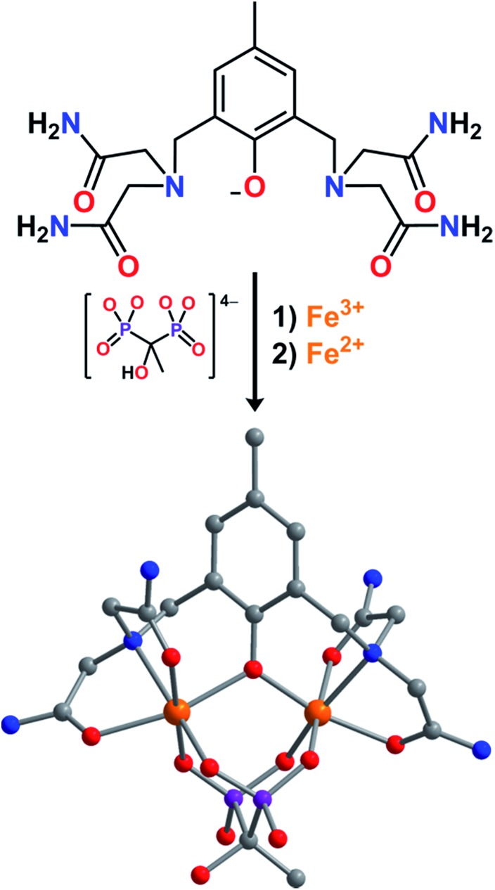 Fig. 1