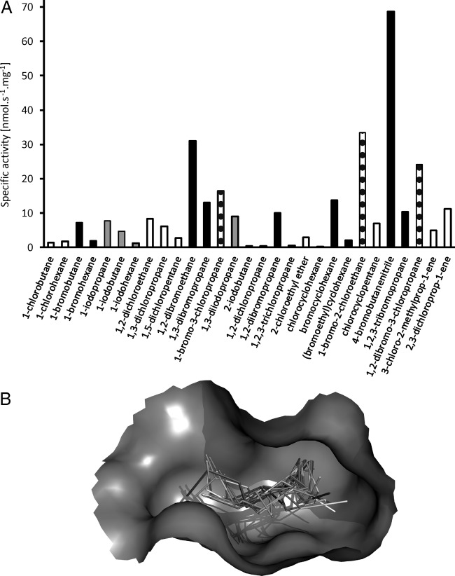 FIG 2