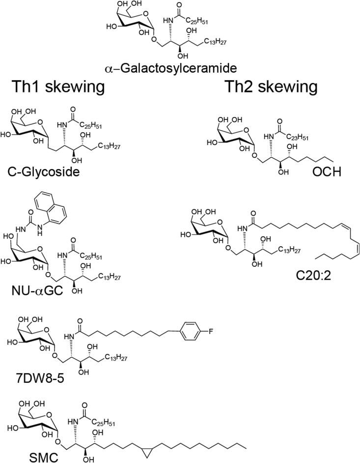 Fig. 2