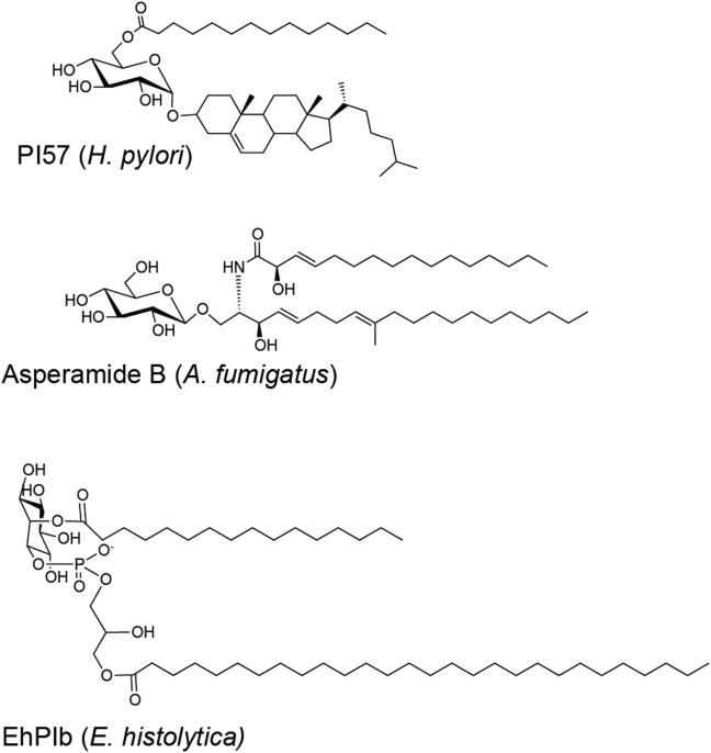 Fig. 7