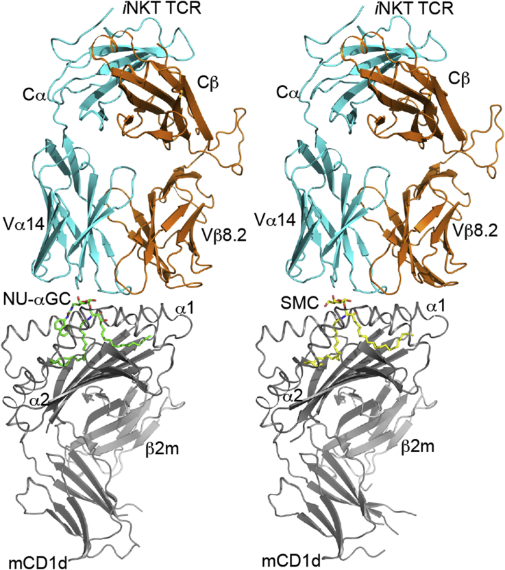 Fig. 3