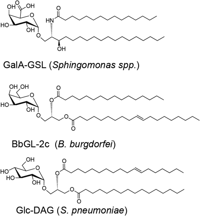 Fig. 6