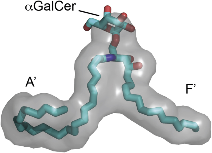 Fig. 1