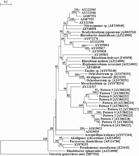 FIG. 6.