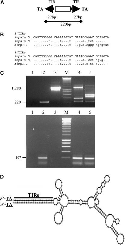 Figure 1.—