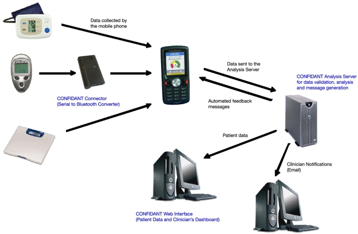 Figure 1.