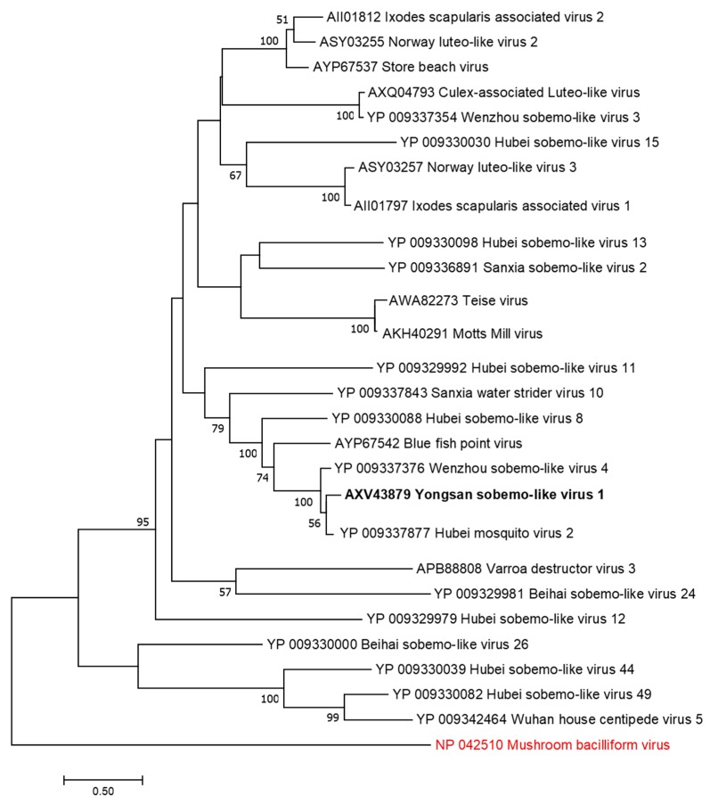 Figure 5