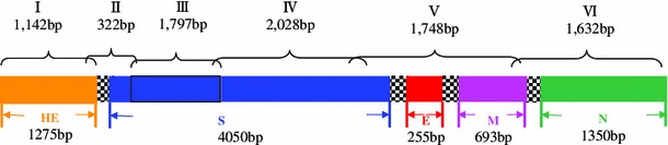 Fig. 1