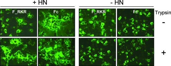 FIG. 4.