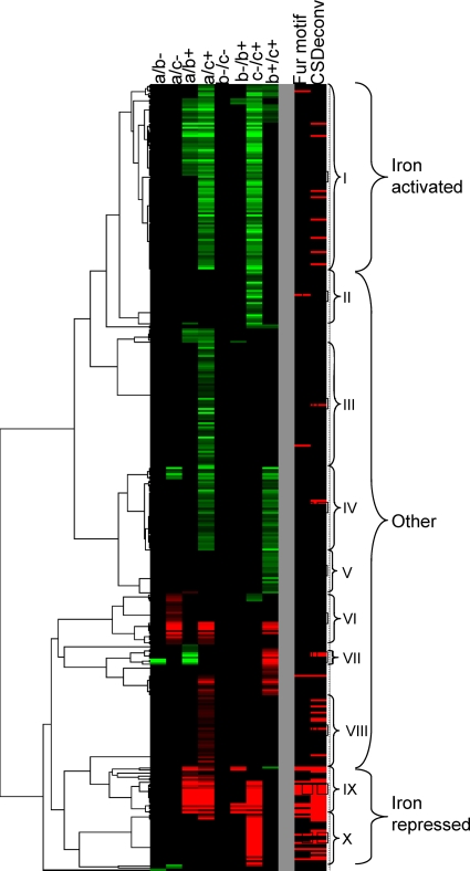 Fig. 5.