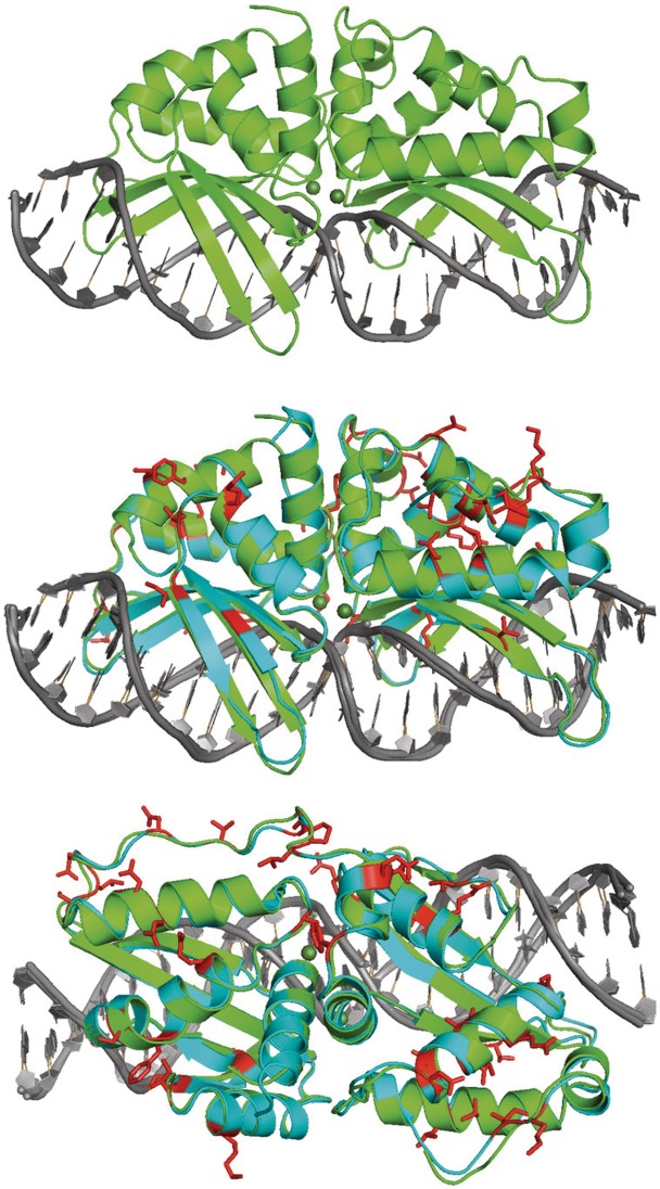 Figure 6.