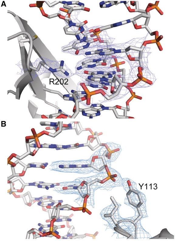 Figure 5.