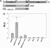FIGURE 13.
