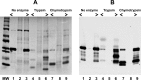 FIGURE 12.