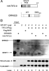 FIGURE 3.