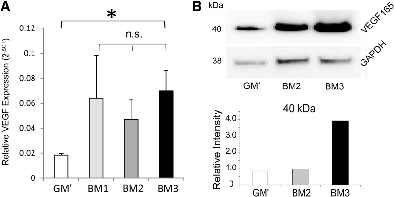 FIG. 5.