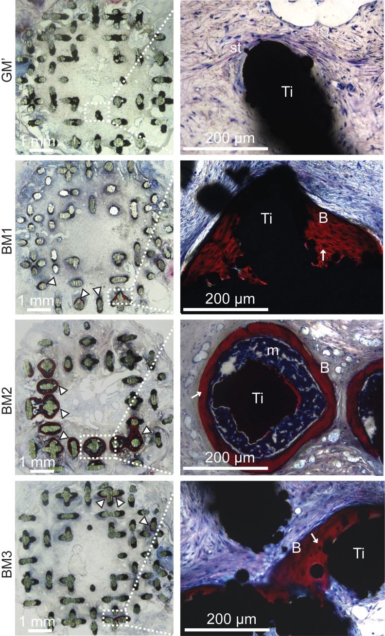 FIG. 7.