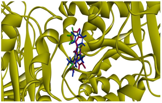 Figure 5