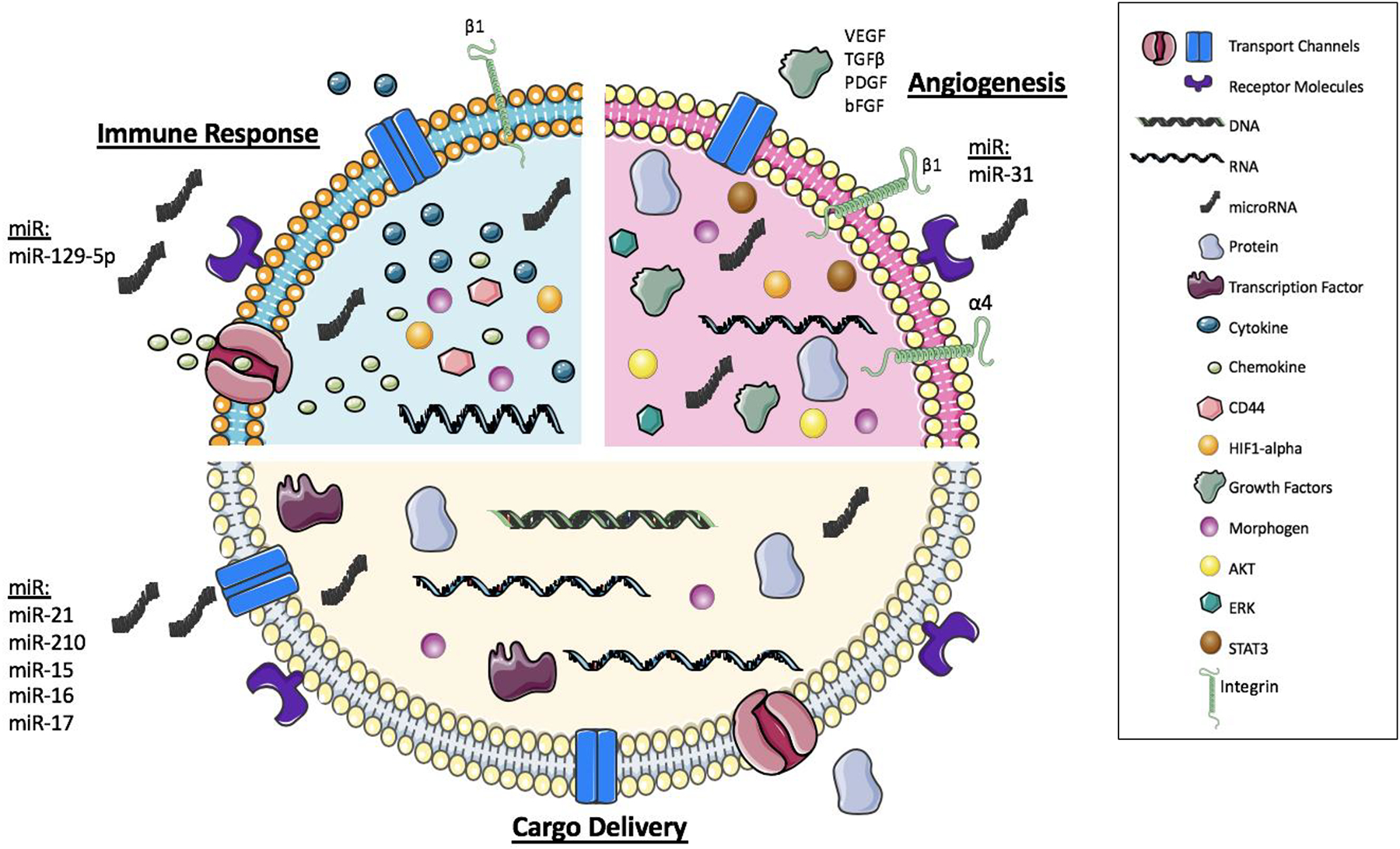 Figure 1: