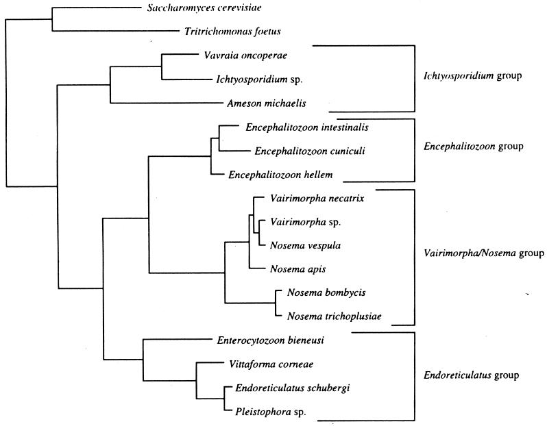 FIG. 13