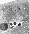 FIG. 7