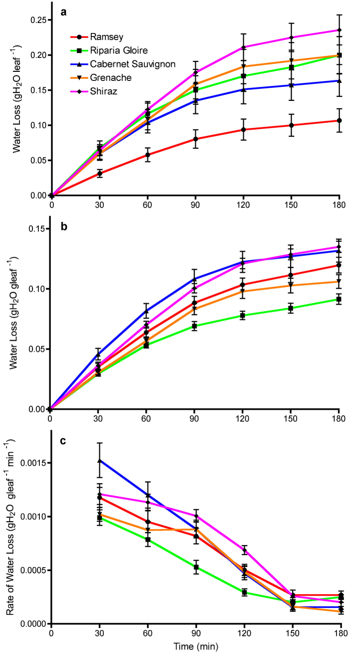 Figure 5