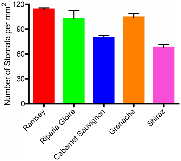 Figure 6