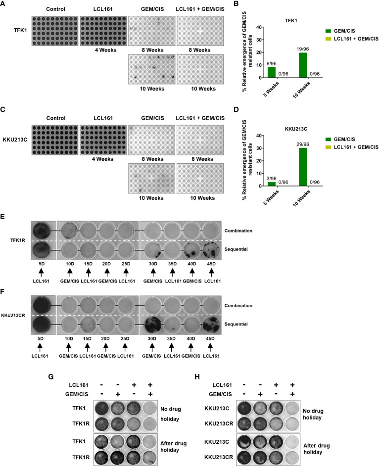 Figure 5