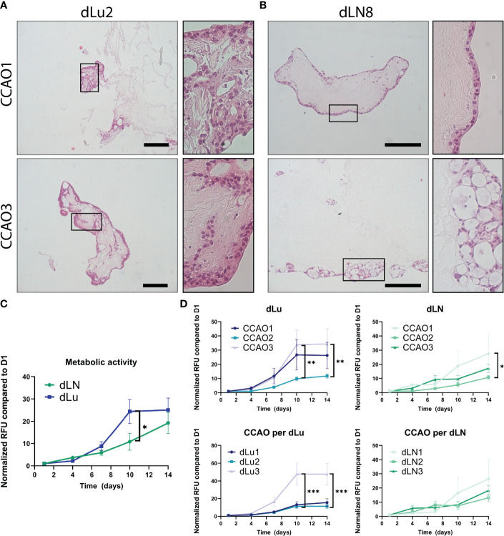 Figure 6