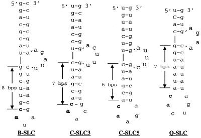 FIG. 8