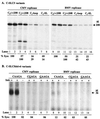 FIG. 7