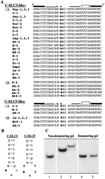 FIG. 6