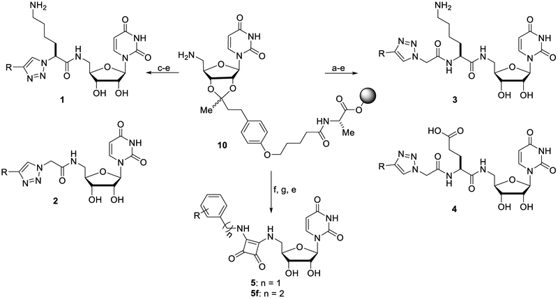 Scheme 2.