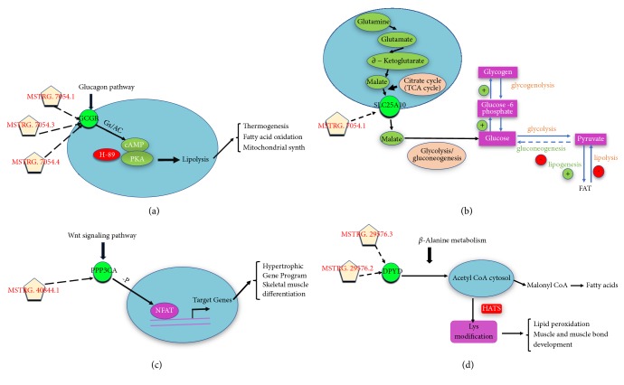 Figure 6