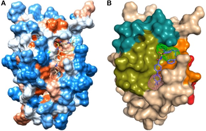 Figure 6